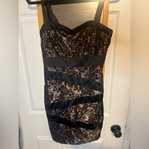 Dynamite Black and Brown Strapless Lace Dress